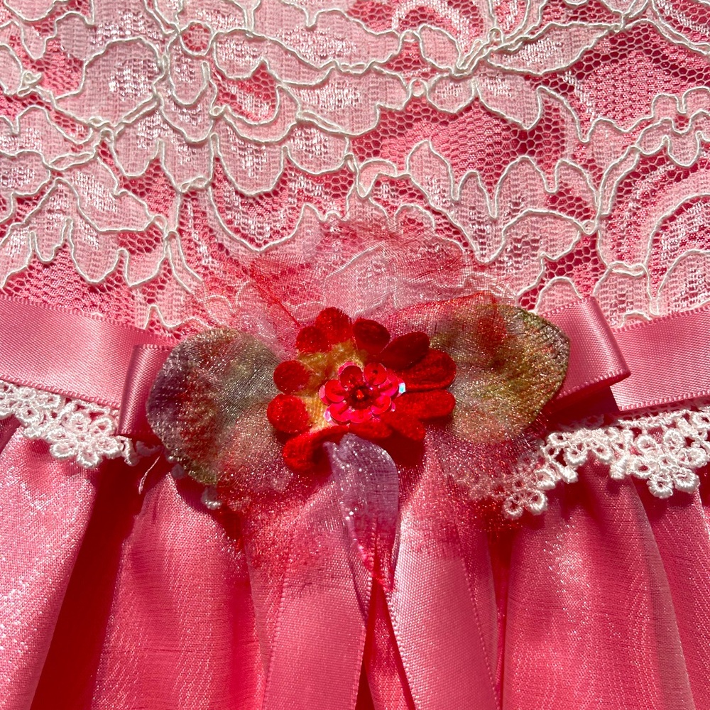 Coral Pink Childs Dress. 12-24M Estimated.